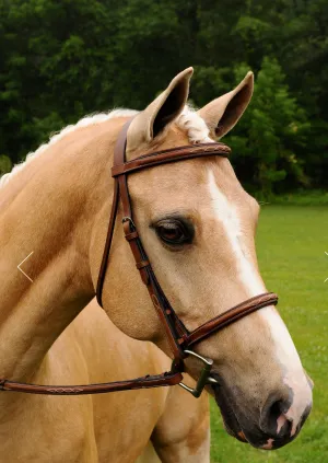 Arc De Triomphe Imperial Bridle with Reins