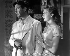 Ava Gardner Robert Taylor Movie  3964