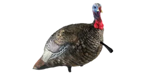 Avian-X LCD Lifelike Collapsible Decoy Jake Turkey Decoy