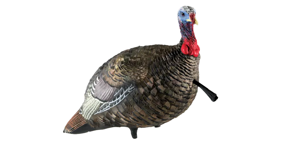 Avian-X LCD Lifelike Collapsible Decoy Jake Turkey Decoy