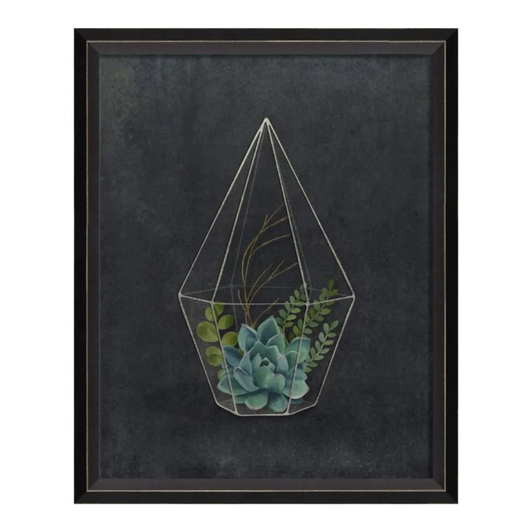 BC Terrarium Active and Happy Sm