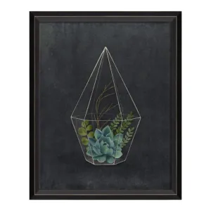 BC Terrarium Active and Happy Sm