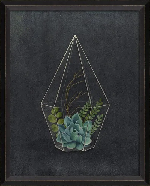 BC Terrarium Active and Happy Sm