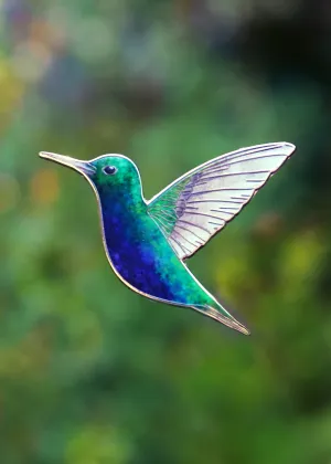 Blue-Bellied Hummingbird Pin