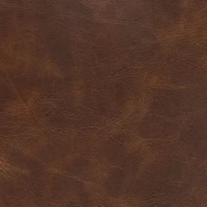 Bolero - Coffee