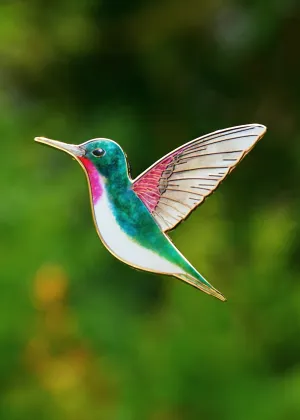 Broad-Tailed Hummingbird Pin