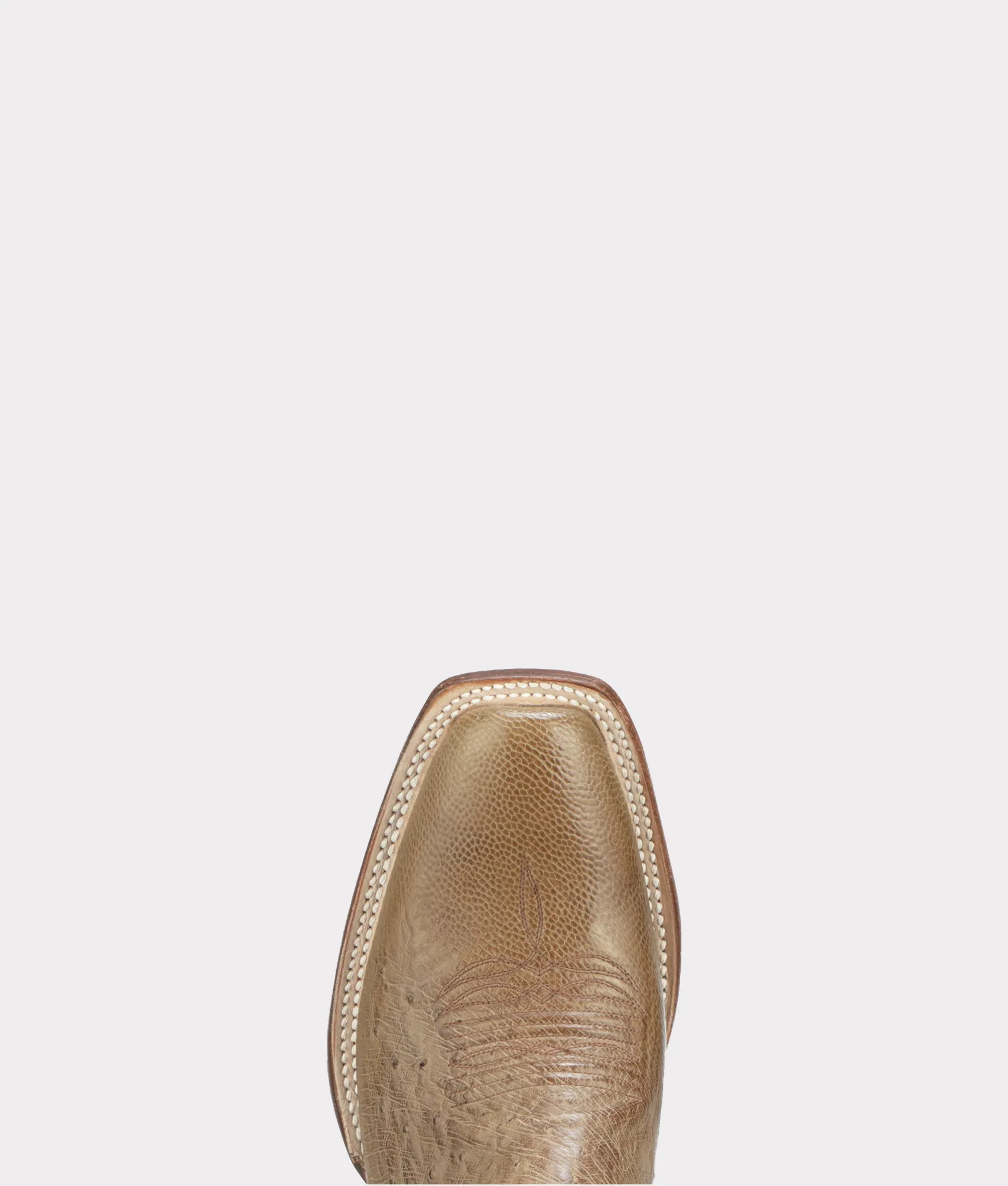 Cecil Exotic :: Olive