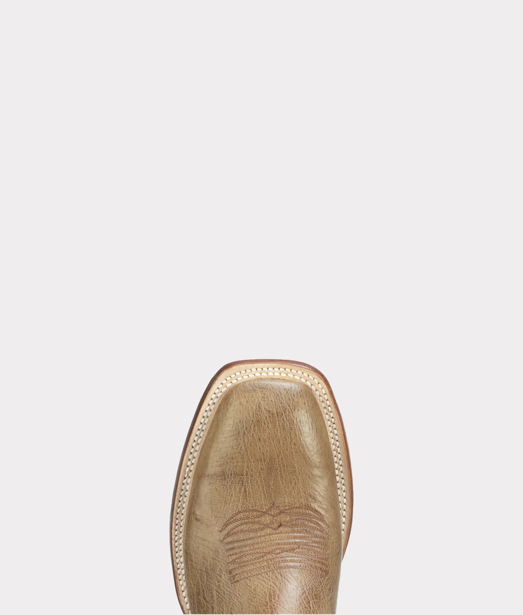 Cecil Exotic :: Olive