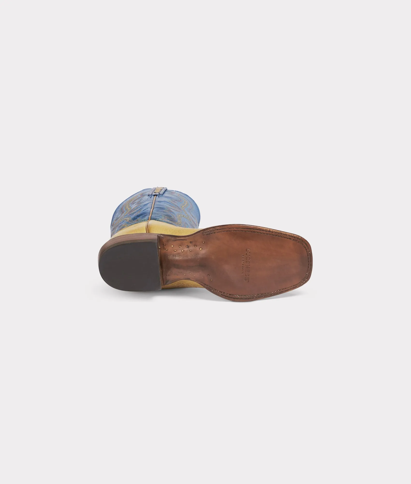 Cecil Exotic :: Saddle