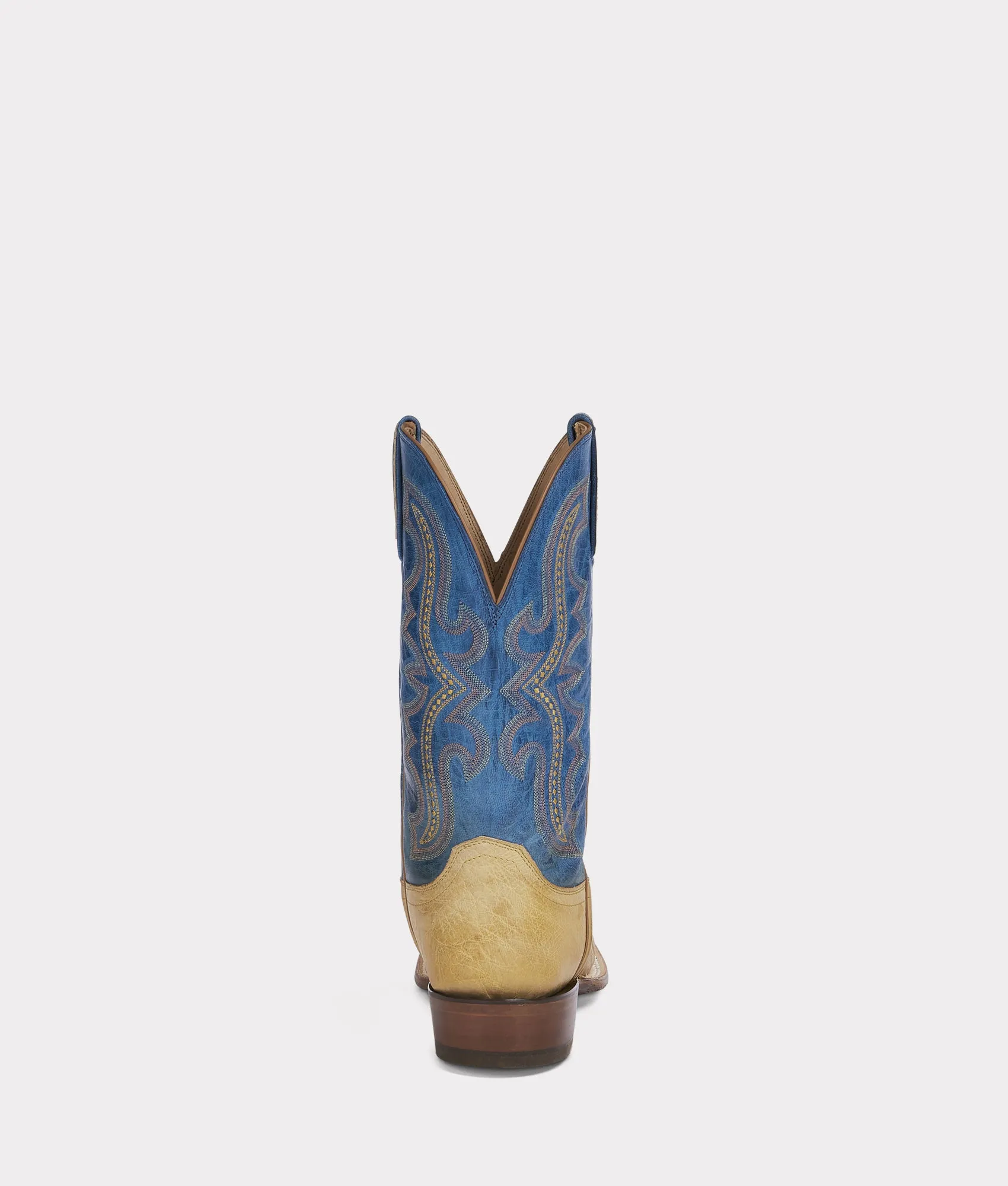 Cecil Exotic :: Saddle