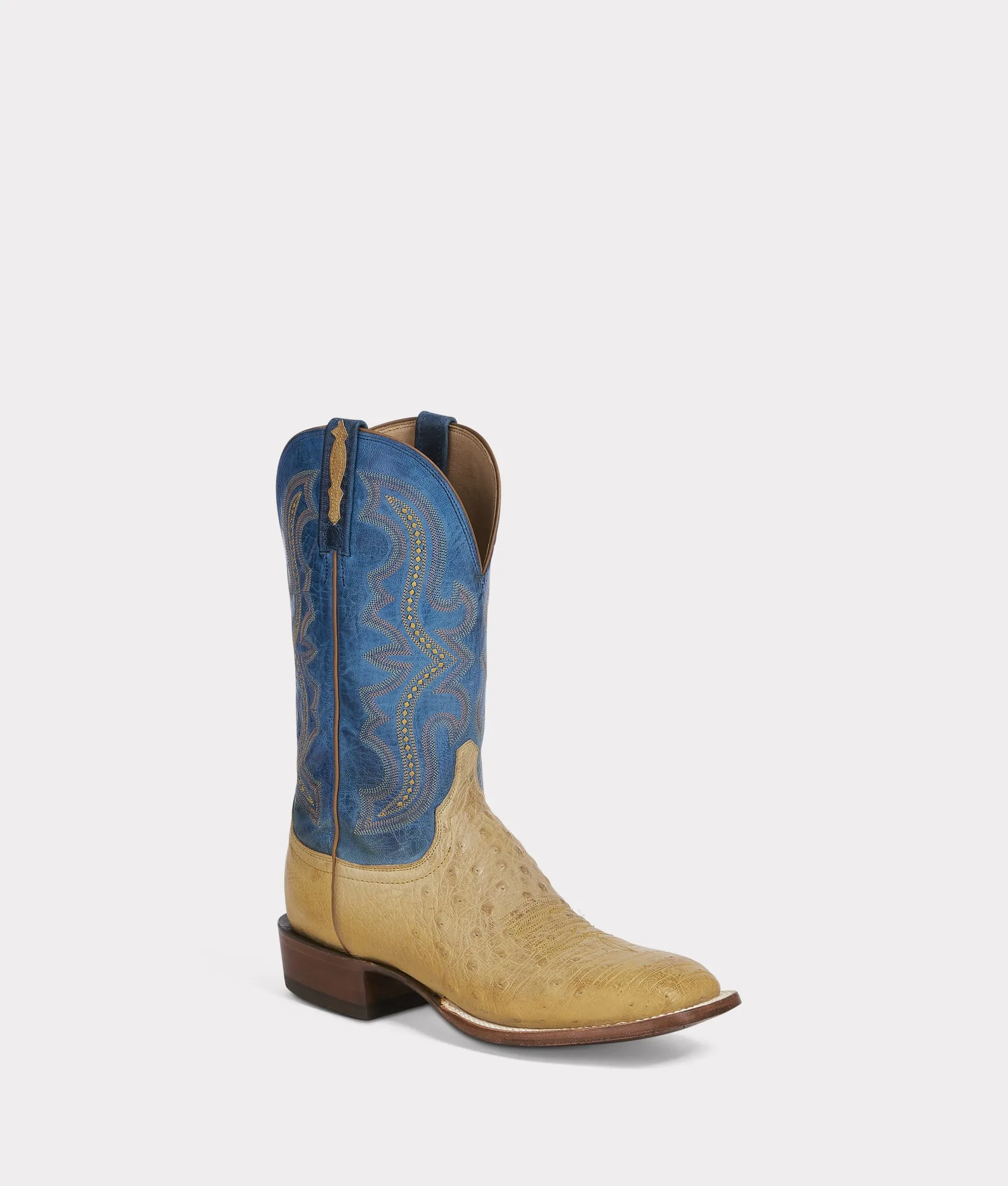 Cecil Exotic :: Saddle