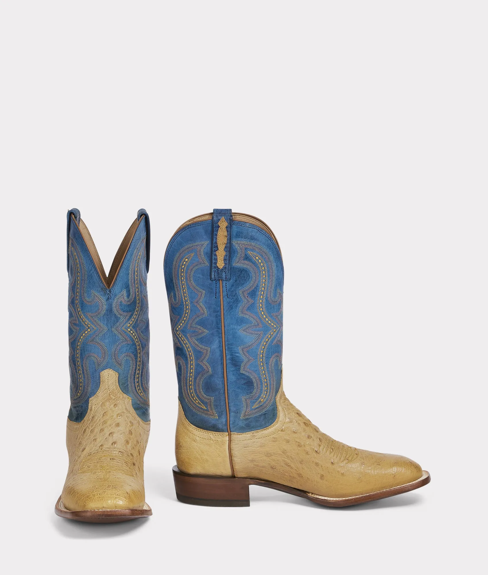 Cecil Exotic :: Saddle
