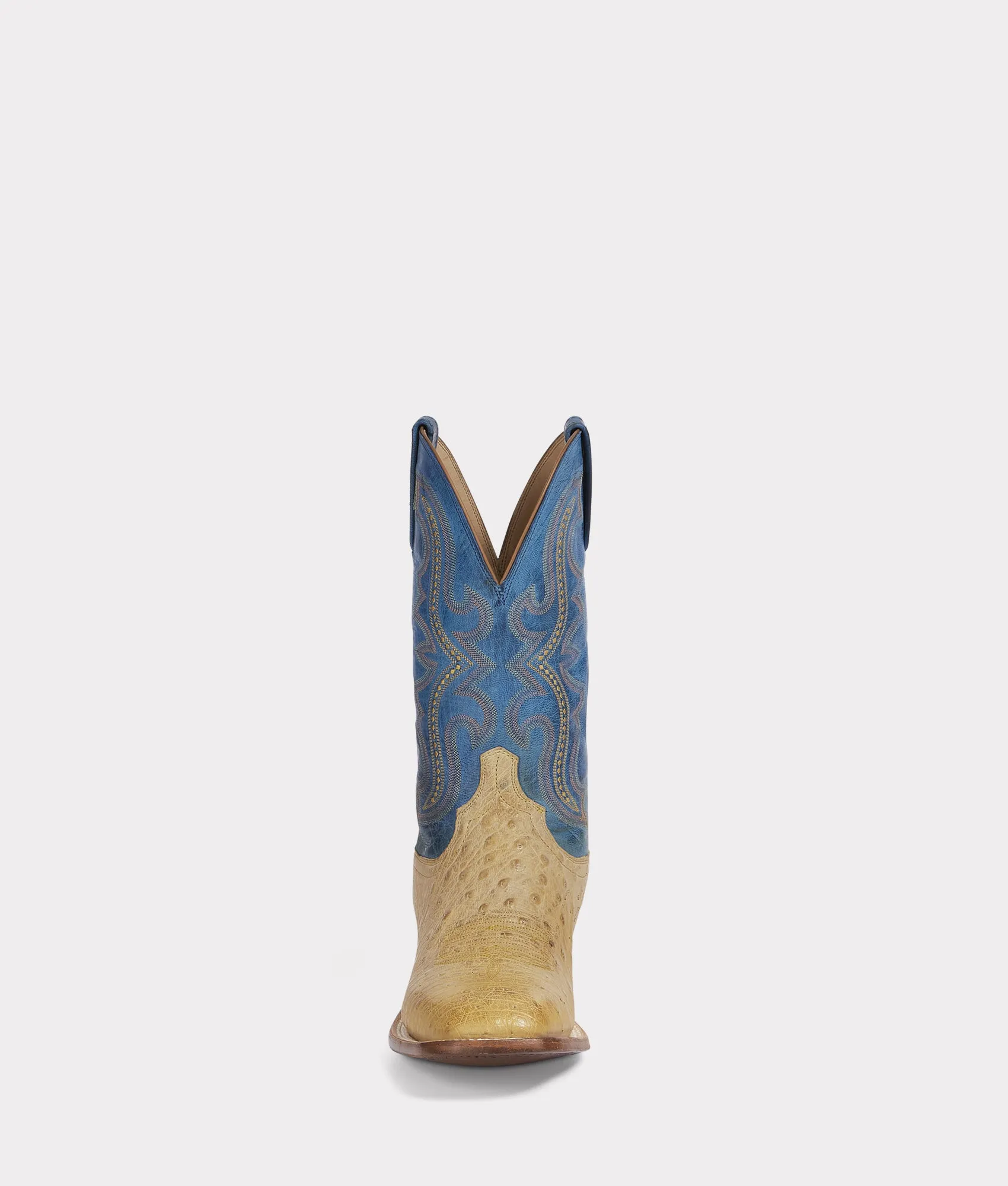 Cecil Exotic :: Saddle