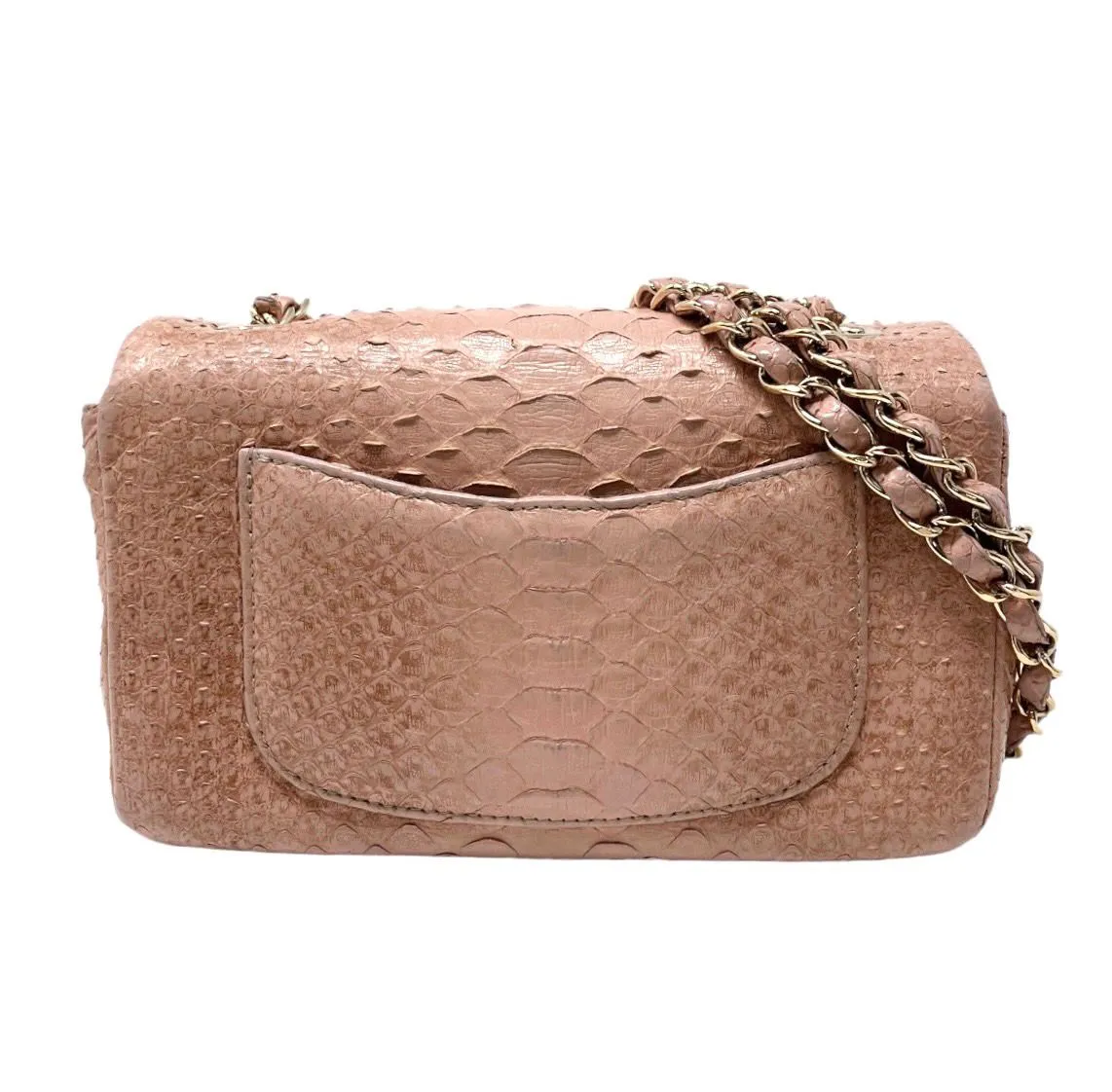Chanel Python Small Flap Bag
