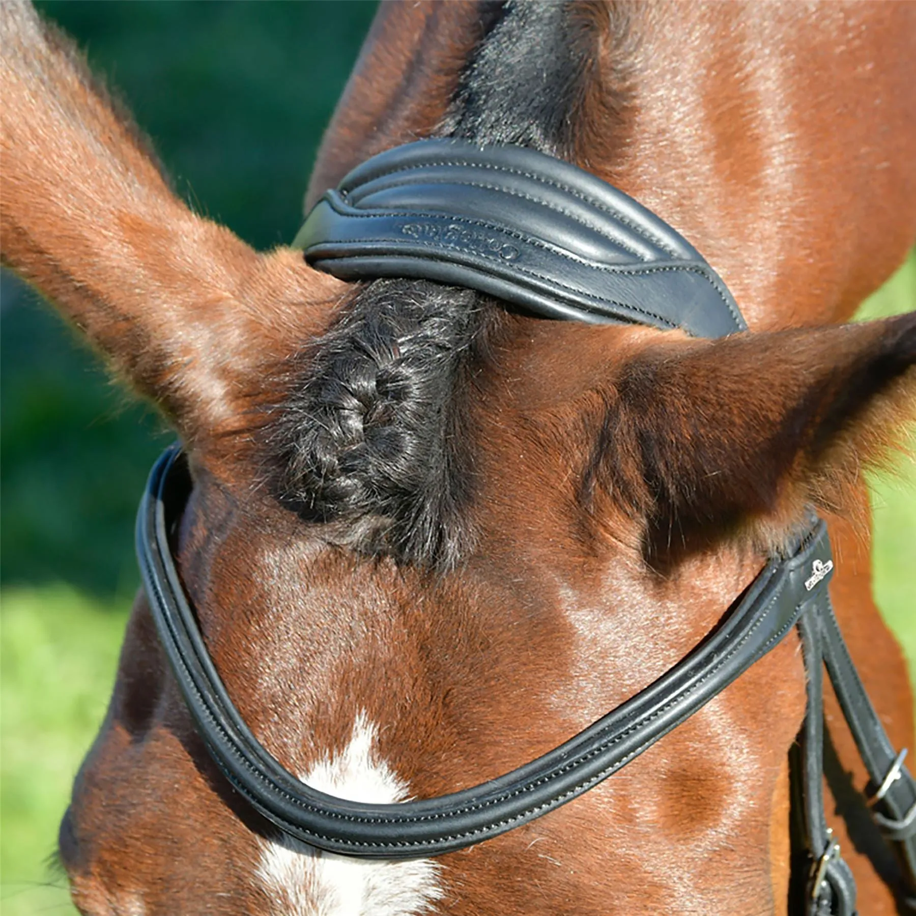 Collegiate Comfitec Opulux Plain Padded Hanoverian Flash Bridle