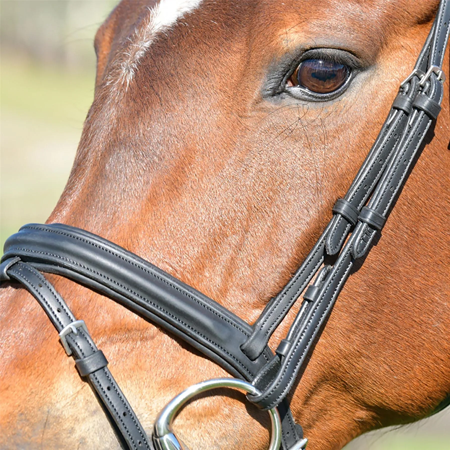 Collegiate Comfitec Opulux Plain Padded Hanoverian Flash Bridle