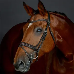 Collegiate Comfitec Opulux Plain Padded Hanoverian Flash Bridle