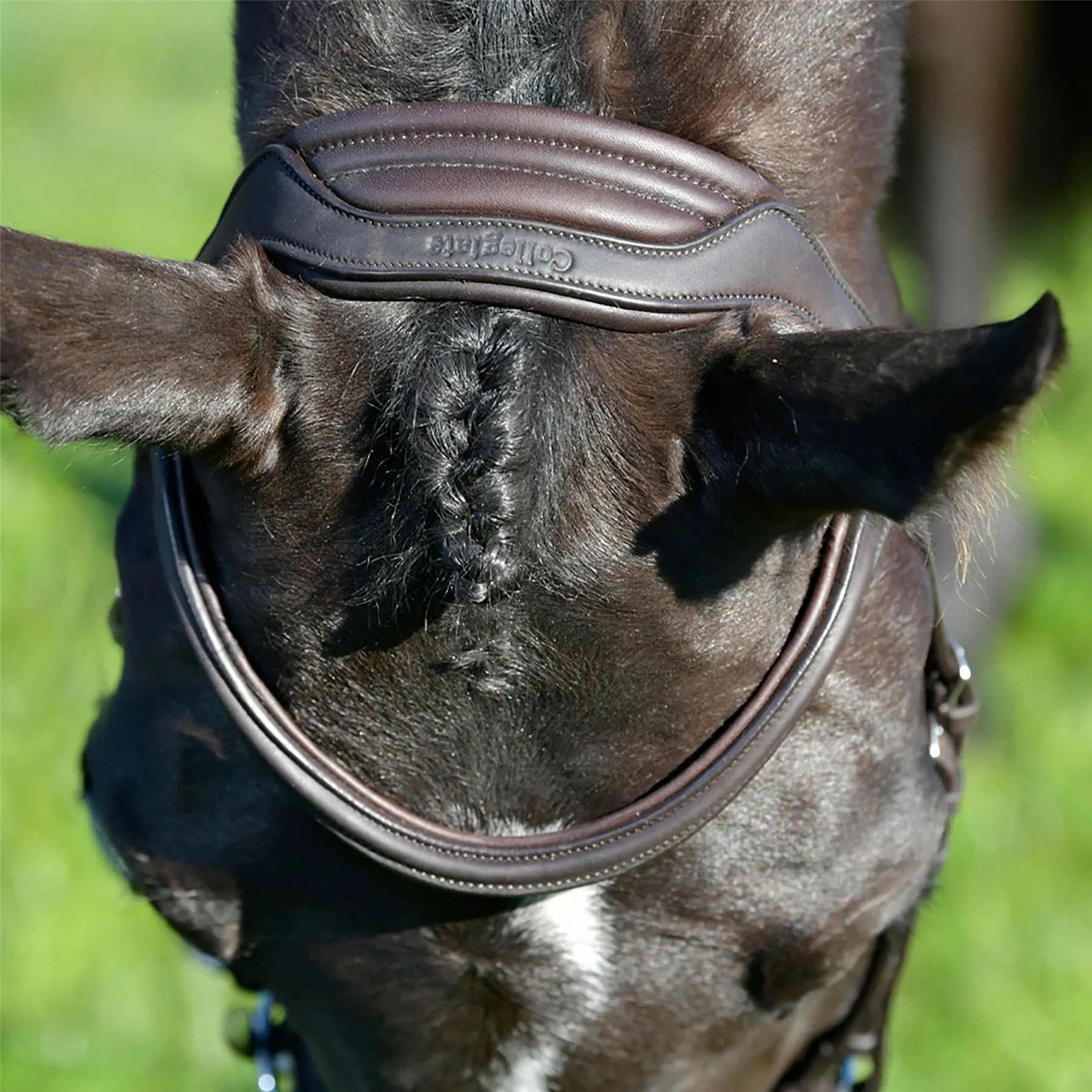 Collegiate Comfitec Opulux Plain Padded Hanoverian Flash Bridle