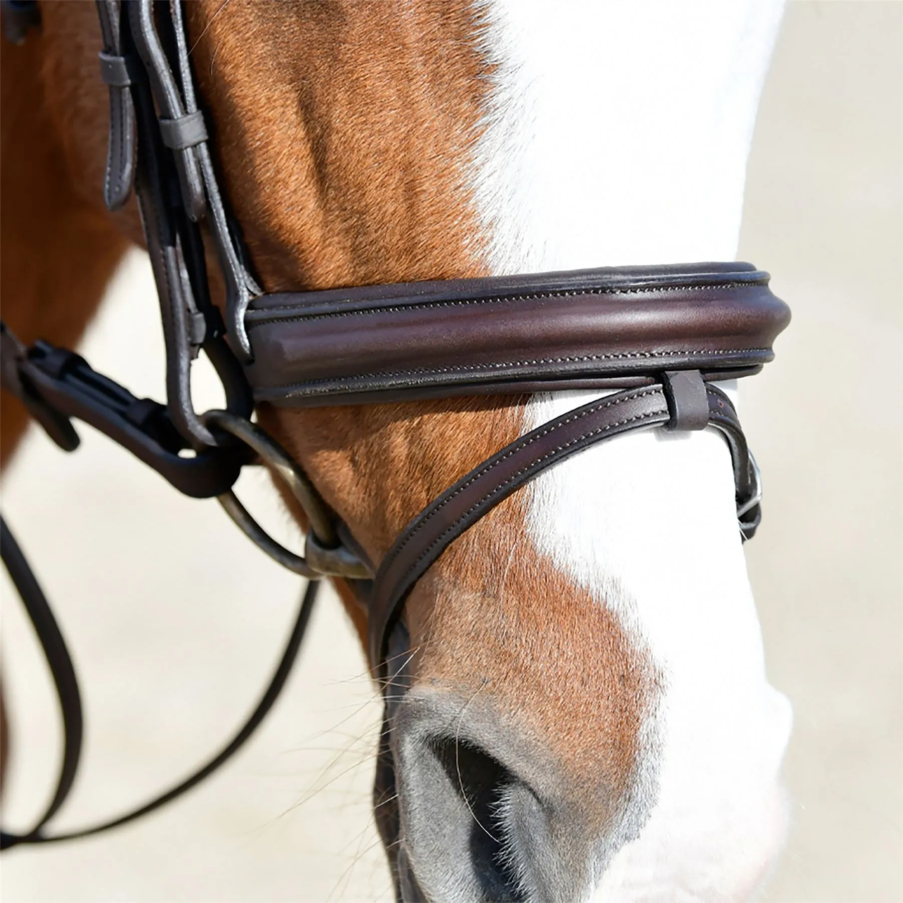 Collegiate Comfitec Opulux Plain Padded Hanoverian Flash Bridle