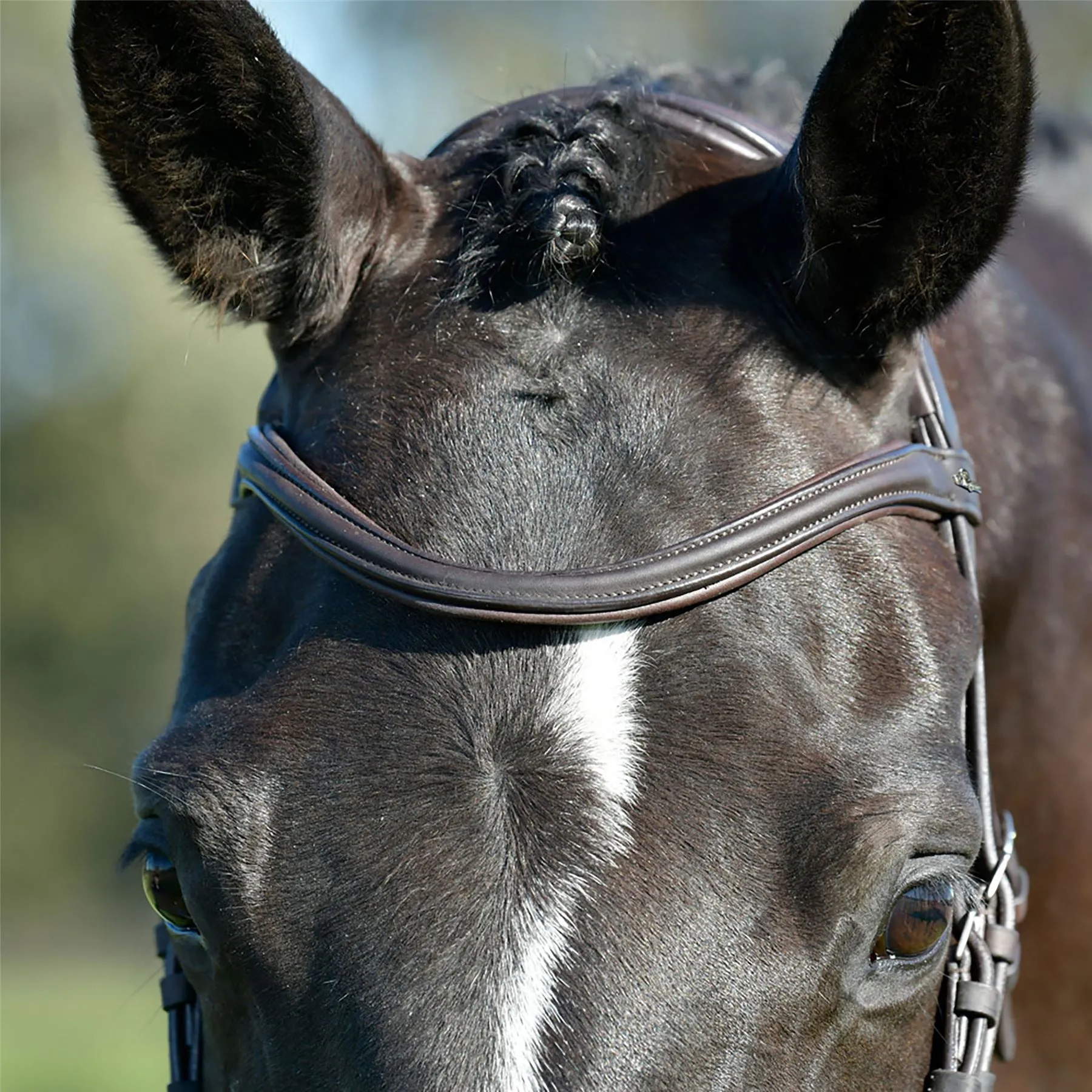 Collegiate Comfitec Opulux Plain Padded Hanoverian Flash Bridle