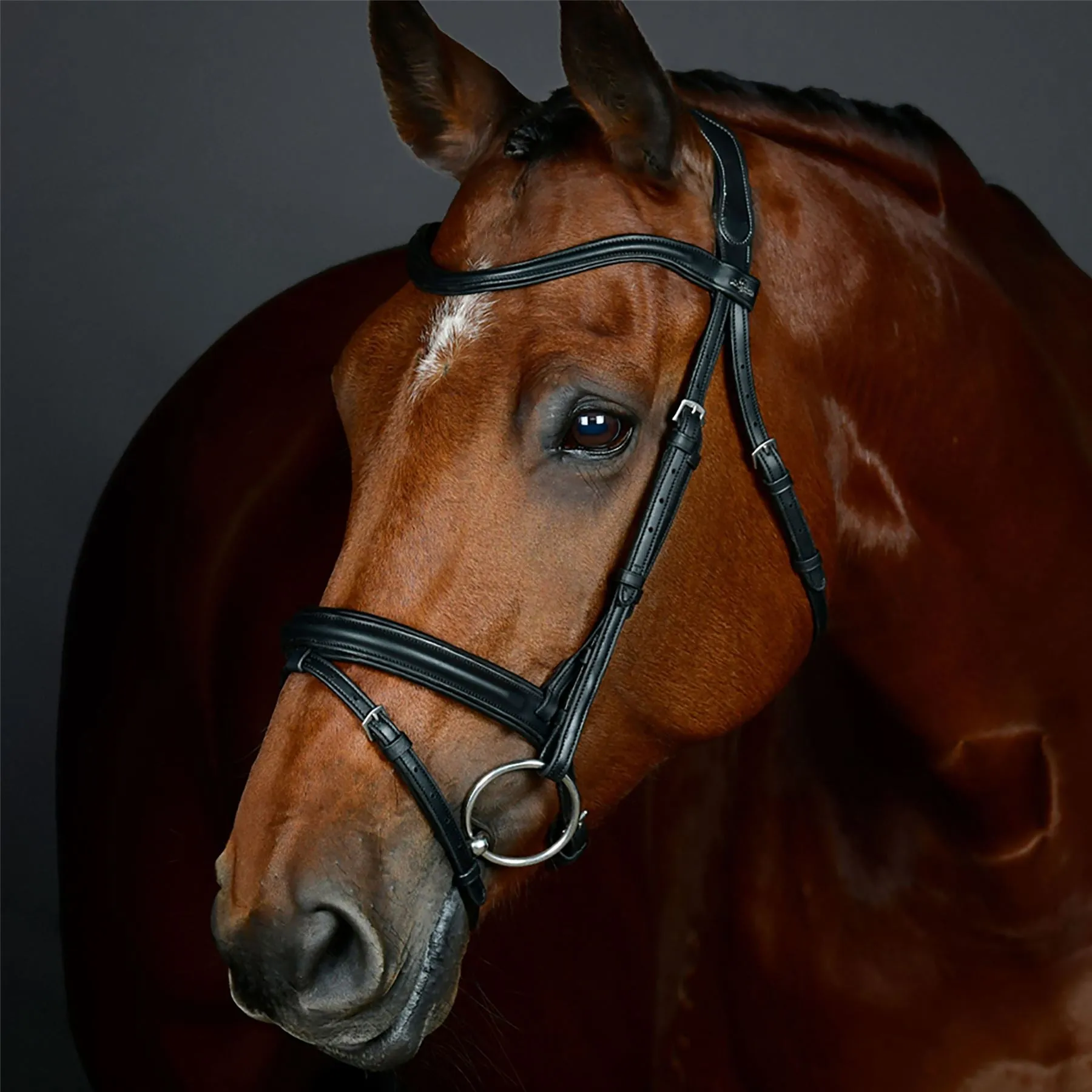 Collegiate Comfitec Opulux Plain Padded Hanoverian Flash Bridle
