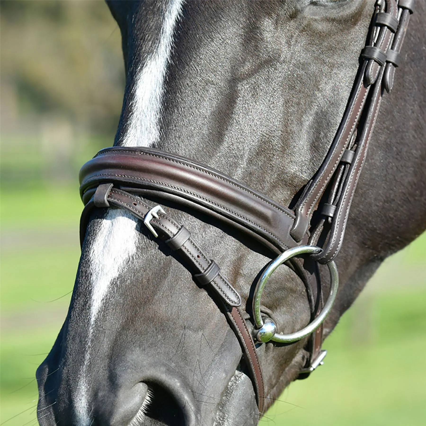Collegiate Comfitec Opulux Plain Padded Hanoverian Flash Bridle