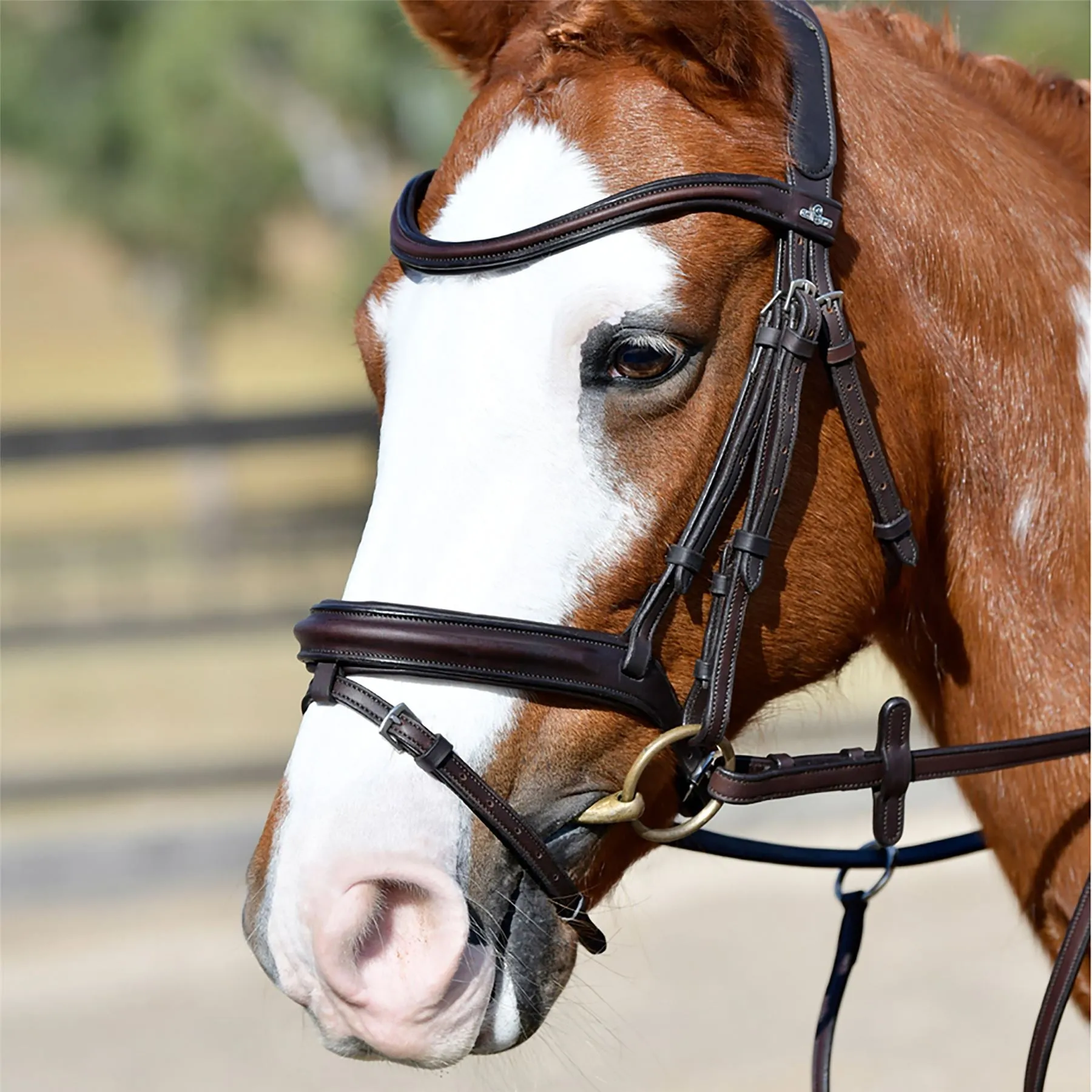 Collegiate Comfitec Opulux Plain Padded Hanoverian Flash Bridle