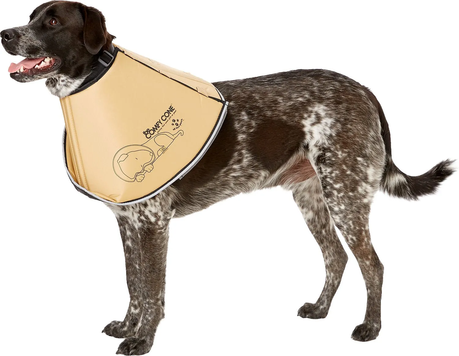 Comfy Cone