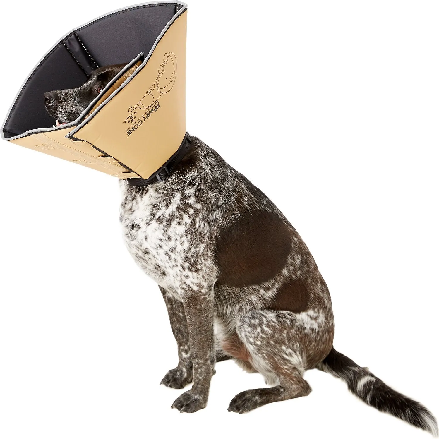 Comfy Cone