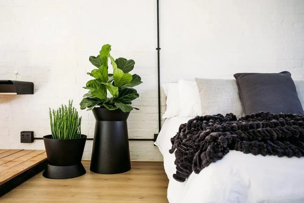 Conva Outdoor Planter