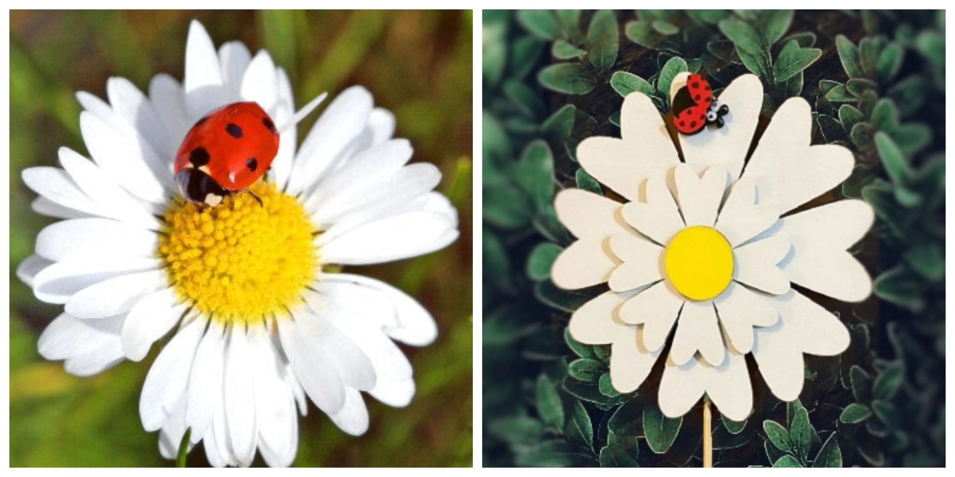 Daisy Flower with Ladybug Wooden Garden Stake with Shimmer