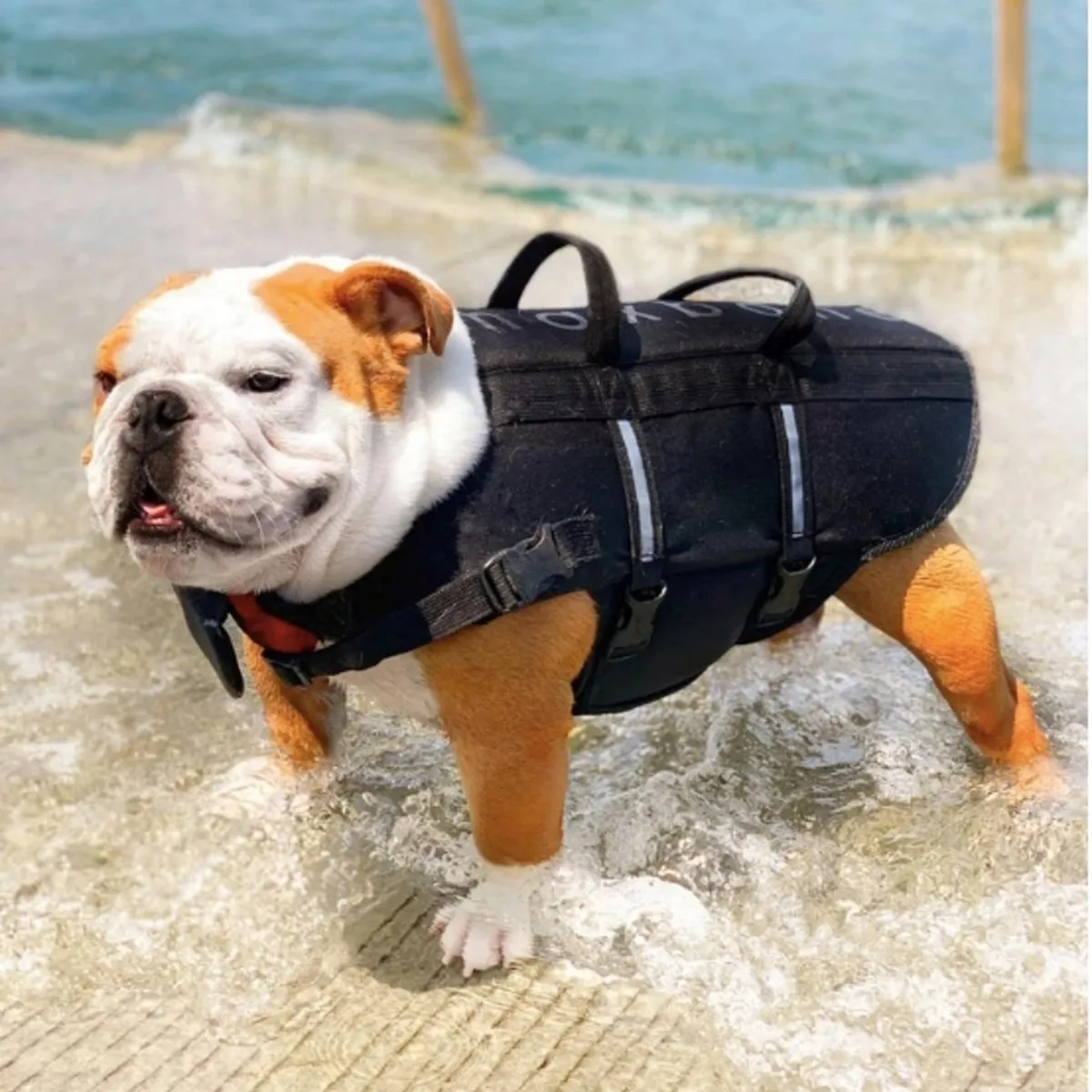 Dog Sport Life Jacket