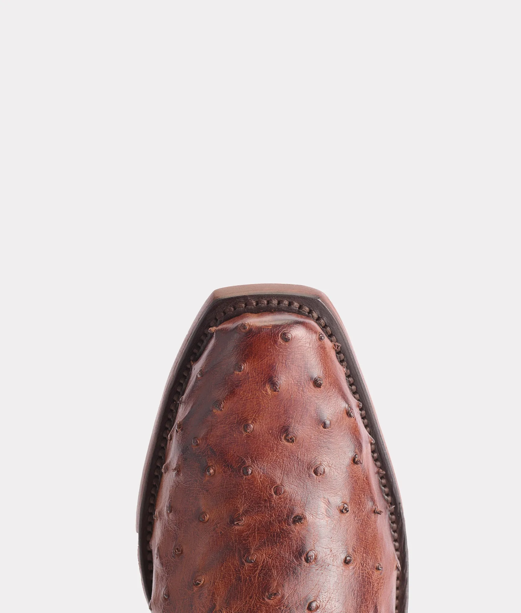 Elgin :: Chocolate