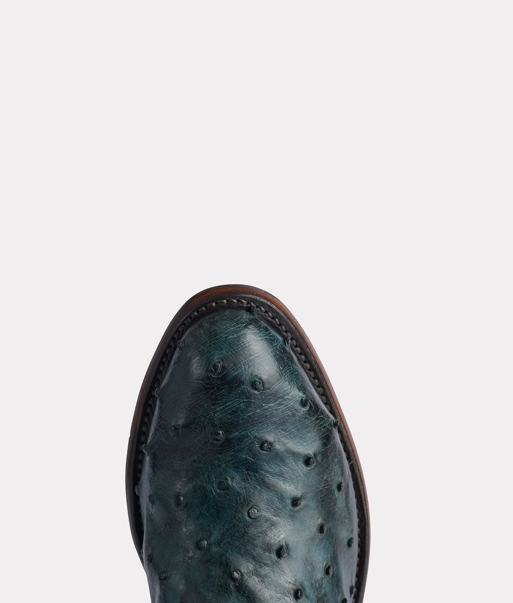 Elgin :: Navy   Black