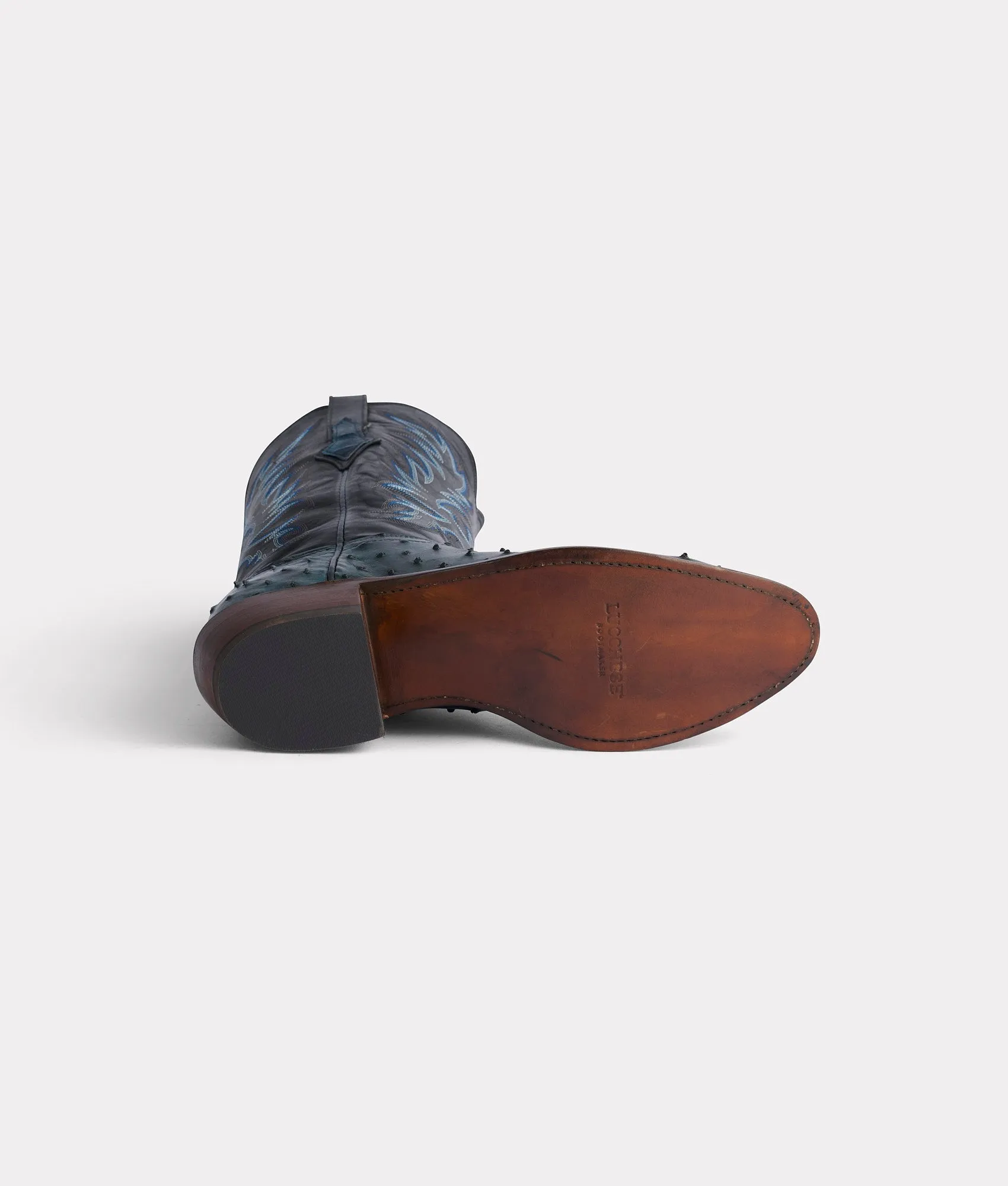 Elgin :: Navy   Black