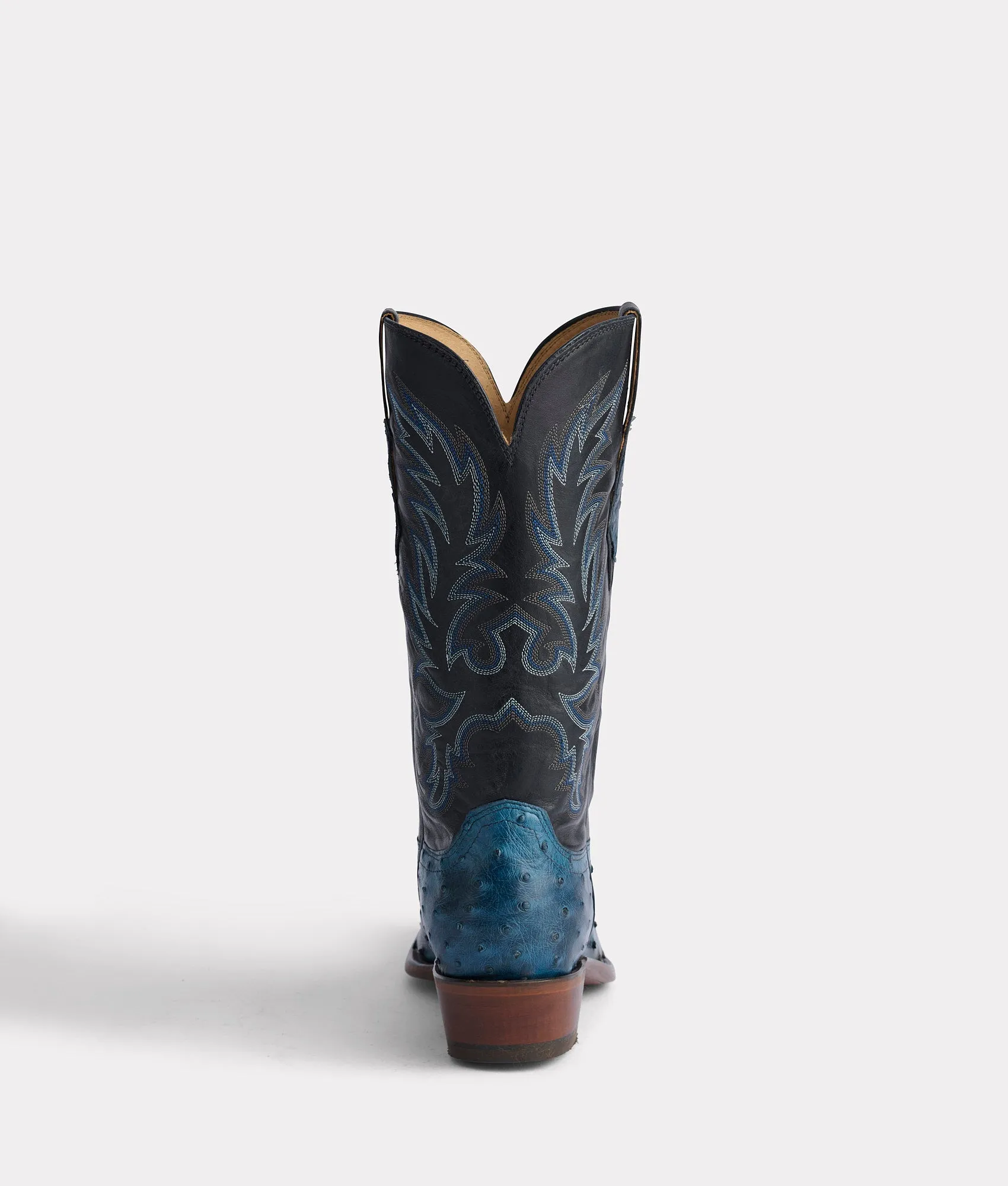 Elgin :: Navy   Black