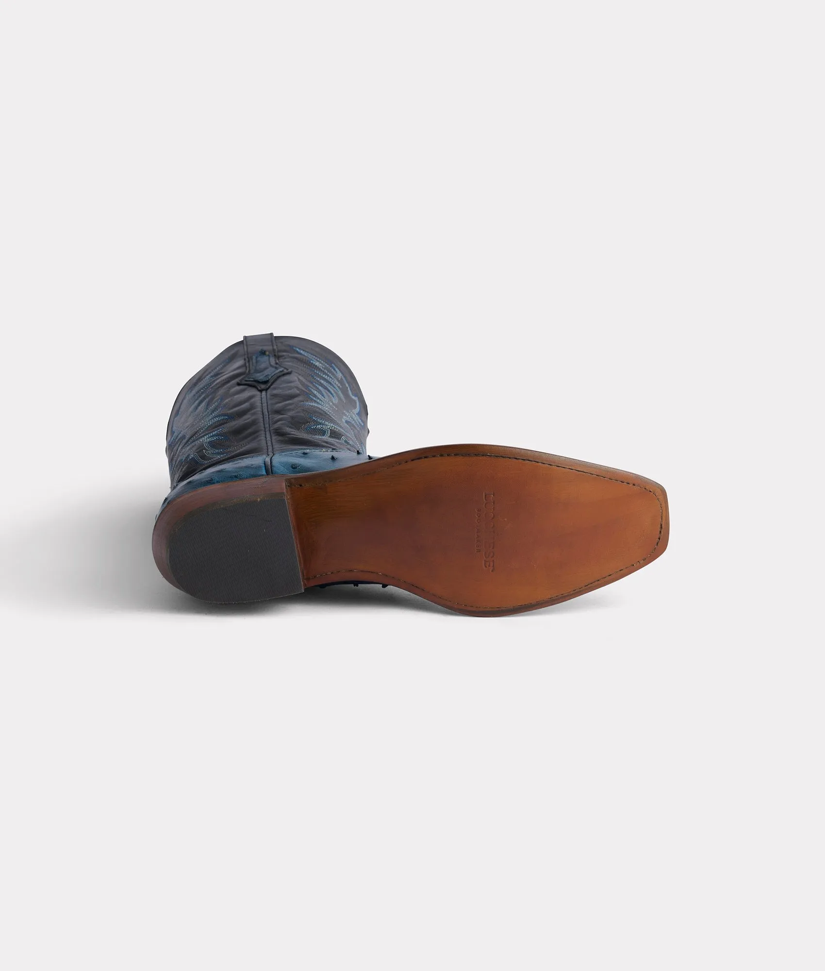 Elgin :: Navy   Black