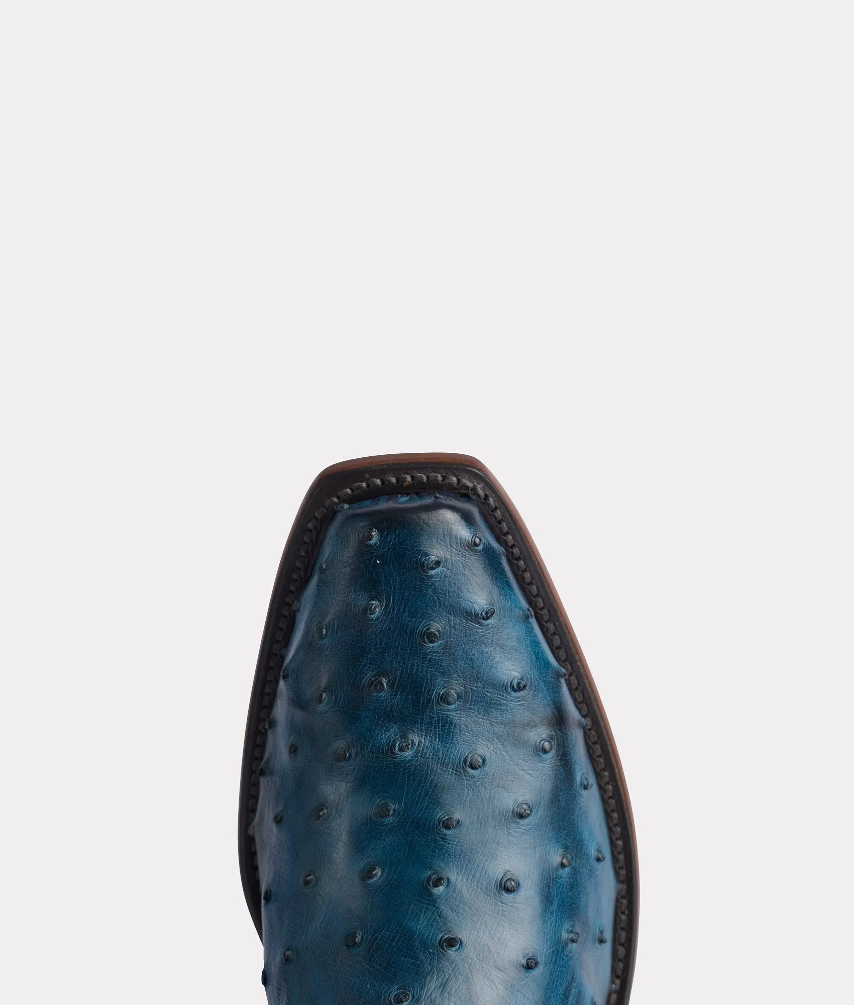 Elgin :: Navy   Black