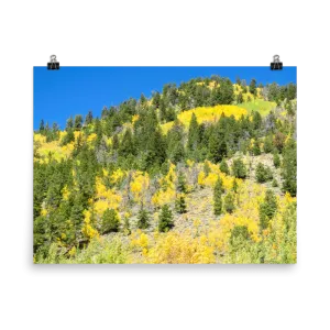 Fall aspen hillside near Leadville, Colorado - print