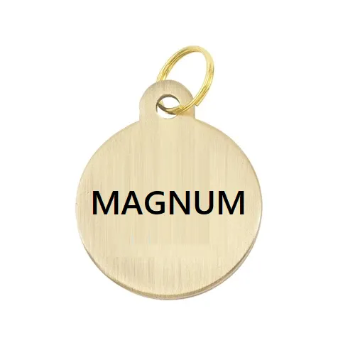 Fancy Stitched Padded Leather Halter   FREE Custom Name Tag