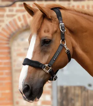 Fleece Padded Head Collar Black
