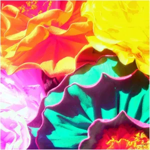 Flores Art Print