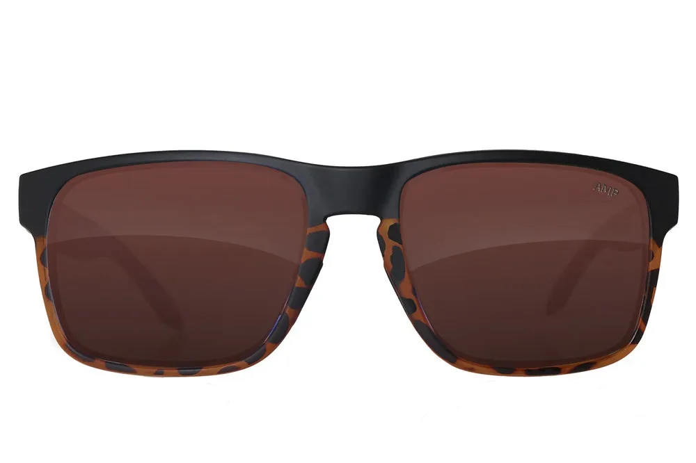 Fuse Prescription Egmont XL Sunglasses | Black Tortoise Fade