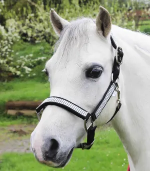 Gallop Equestrian Diamante Padded Headcollar