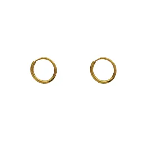 Glossy Hoops Earrings (24K)