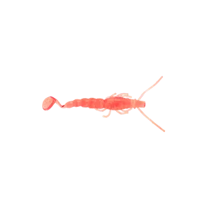 Halco Madeye Paddle Prawn Soft Plastic Lure 4 Inch
