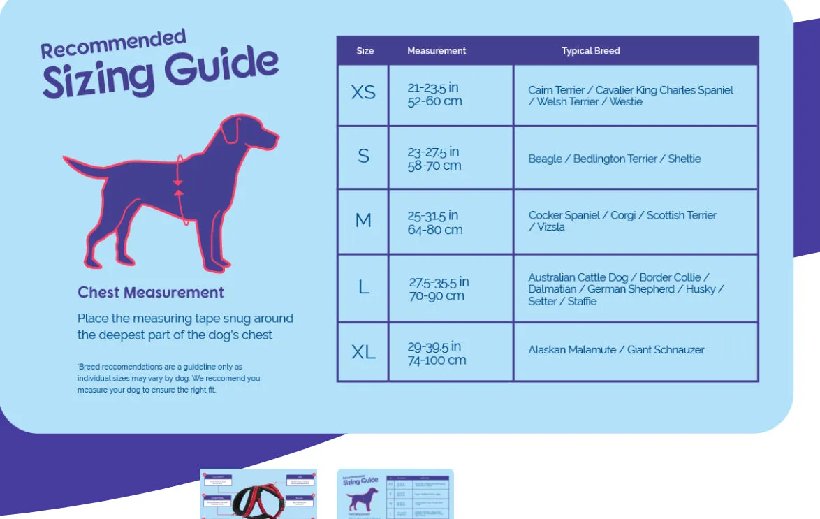 Halti Comfy Harness