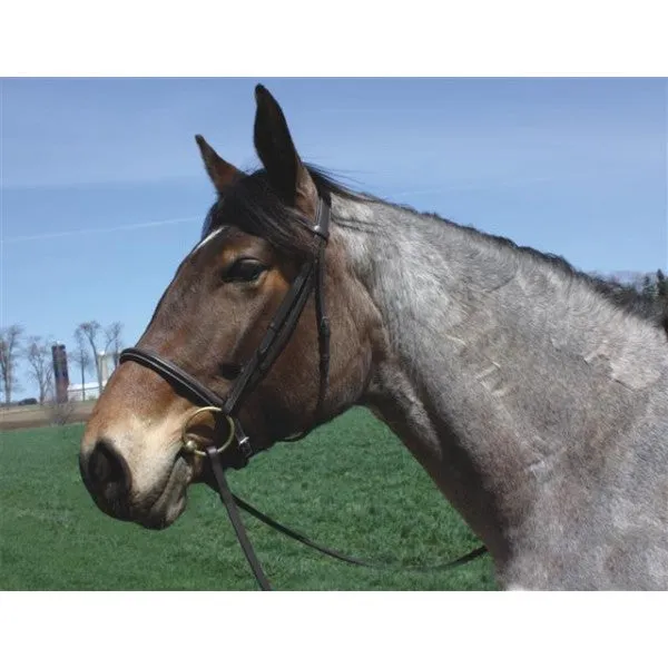 HDR Advantage Draft Bridle with Reins   Free Name Tag