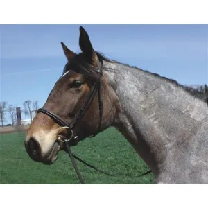 HDR Advantage Draft Bridle with Reins   Free Name Tag