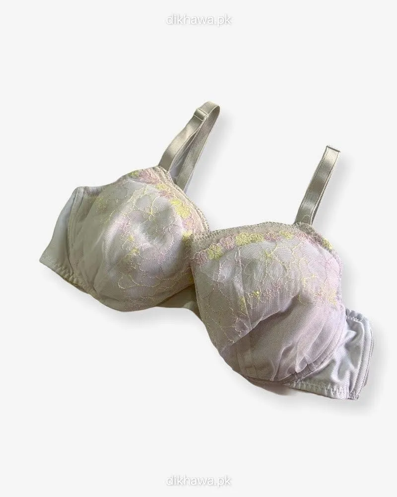 Imported Stocklot Branded  Net Pushup Bra - Underwired Bra  -Non Padded Bra - Pack of 2